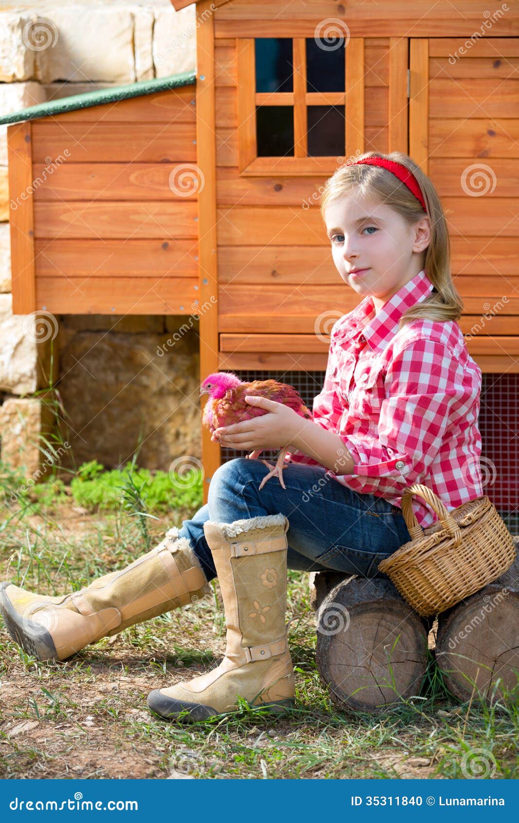 Breeder Hens Kid Girl Rancher Farmer With Chicks In ...