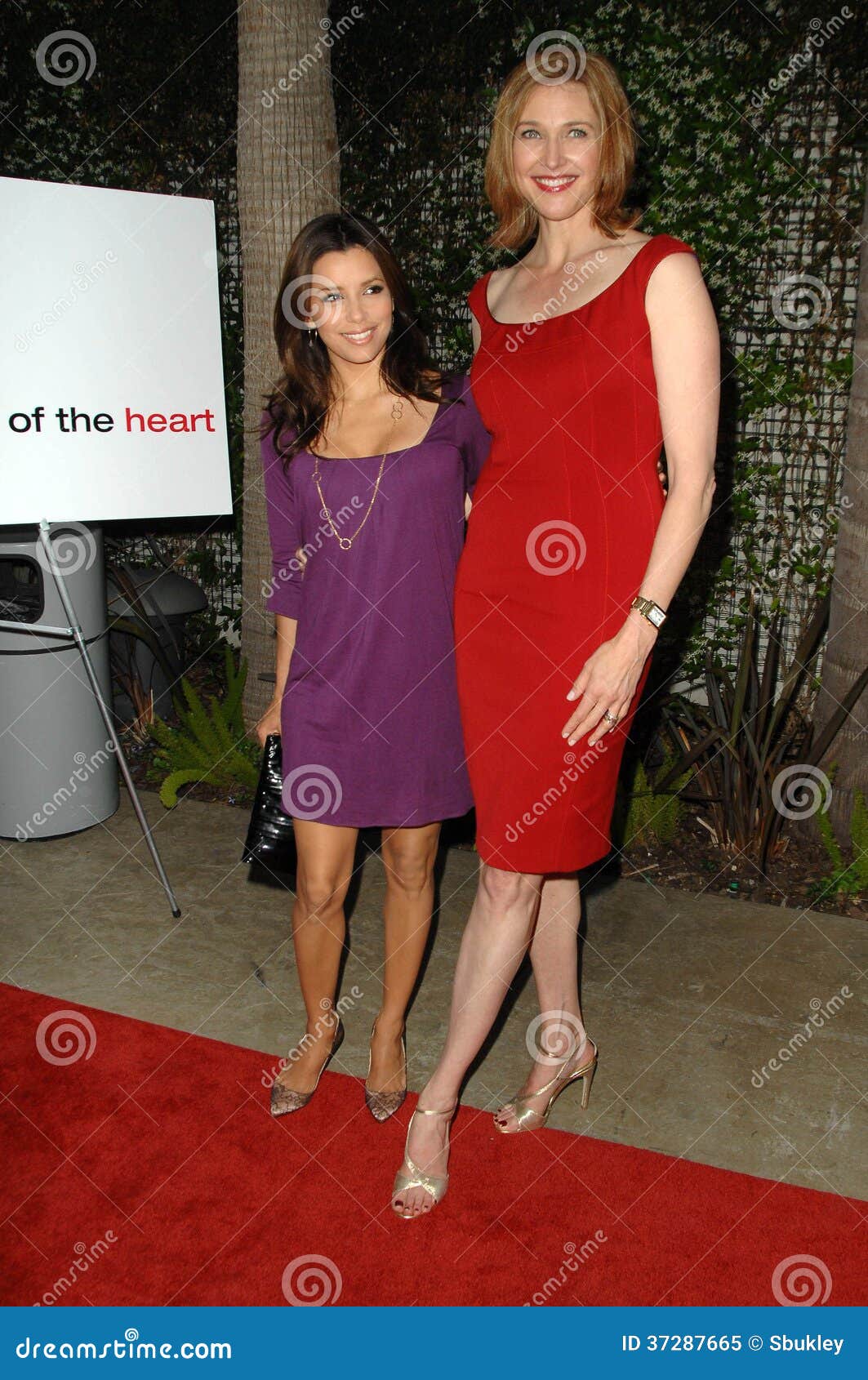 Images brenda strong Brenda Strong