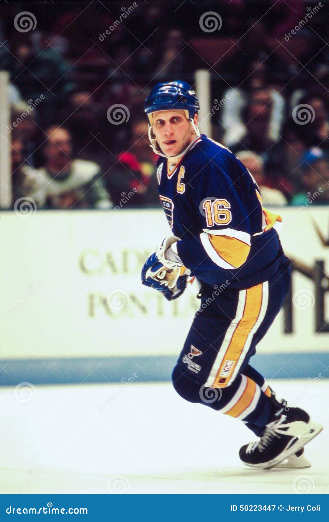 brett hull