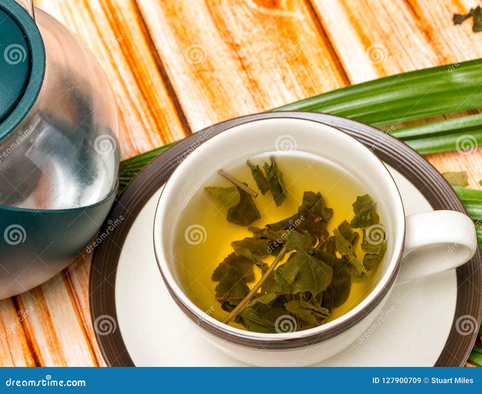 Brewed Green Tea Shows Cafes Drinks and Refreshed Stock Image Image