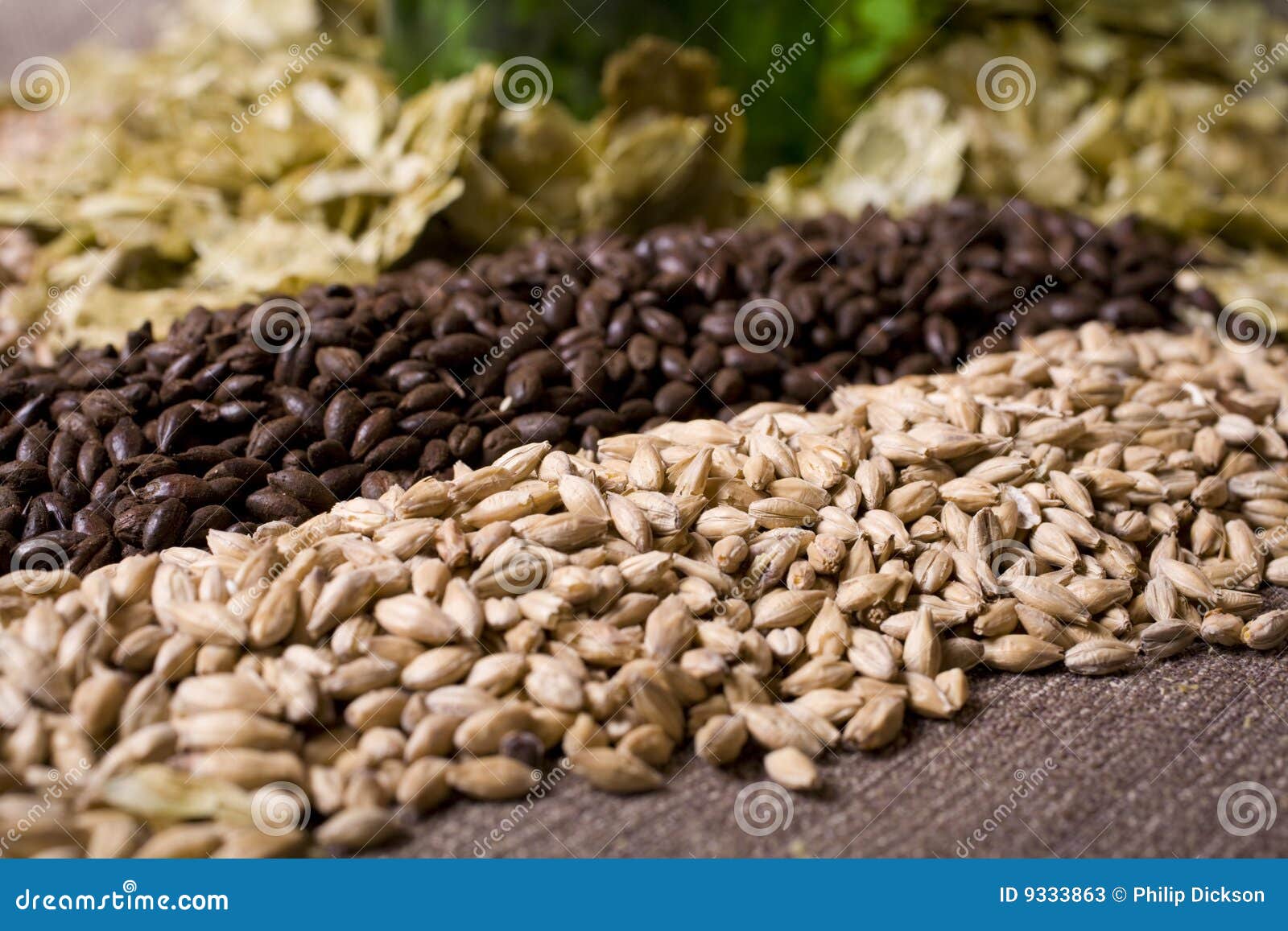 Brewing Ingredients stock image. Image of malt, cereal 9333863