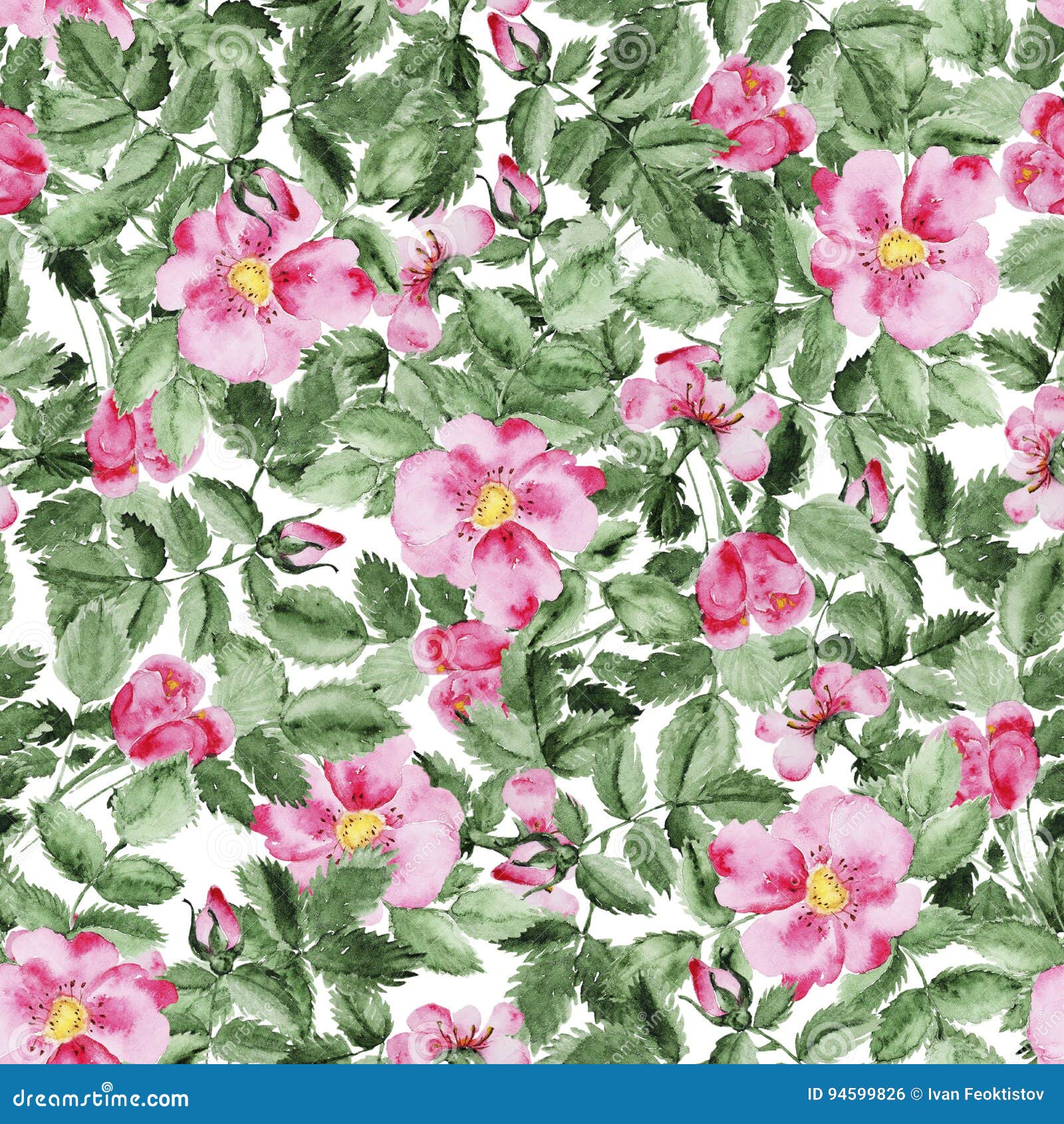 Briar Blossom Flower Pattern Stock Illustration - Illustration of ...