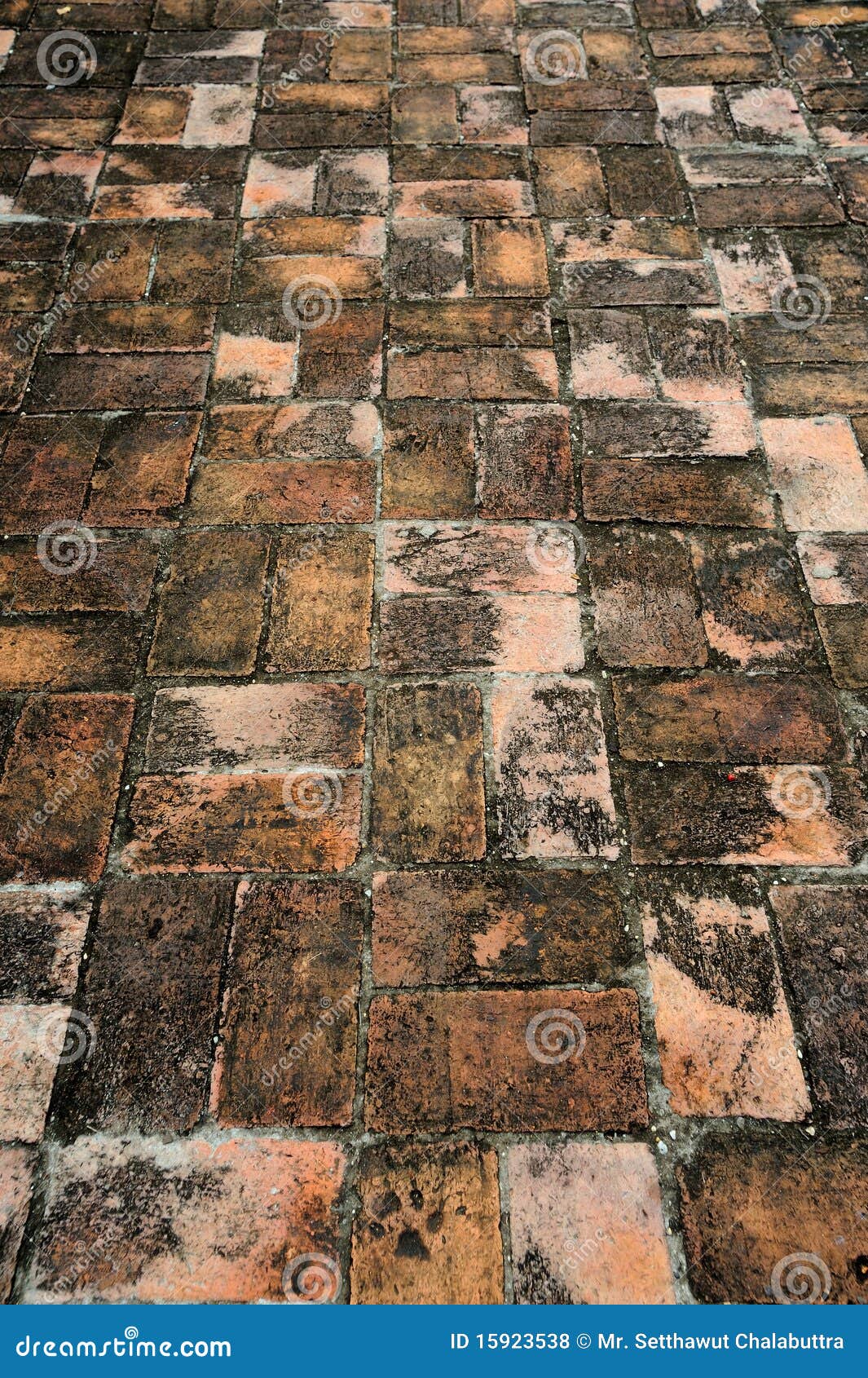 Brick block pavement stock photo. Image of block, outdoors - 15923538