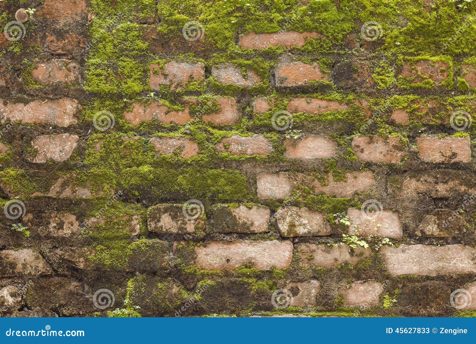Brick Moss Wall stock image. Image of cement, wall, surface 45627833