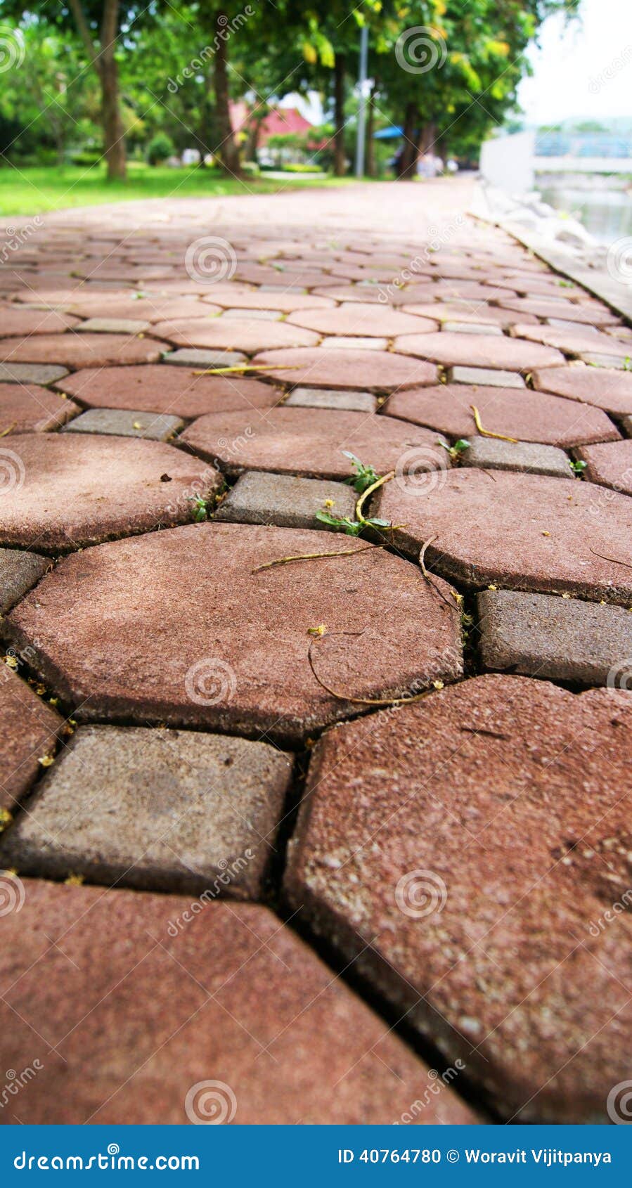 Brick Walkway stock photo. Image of bricks, curved, walk - 40764780