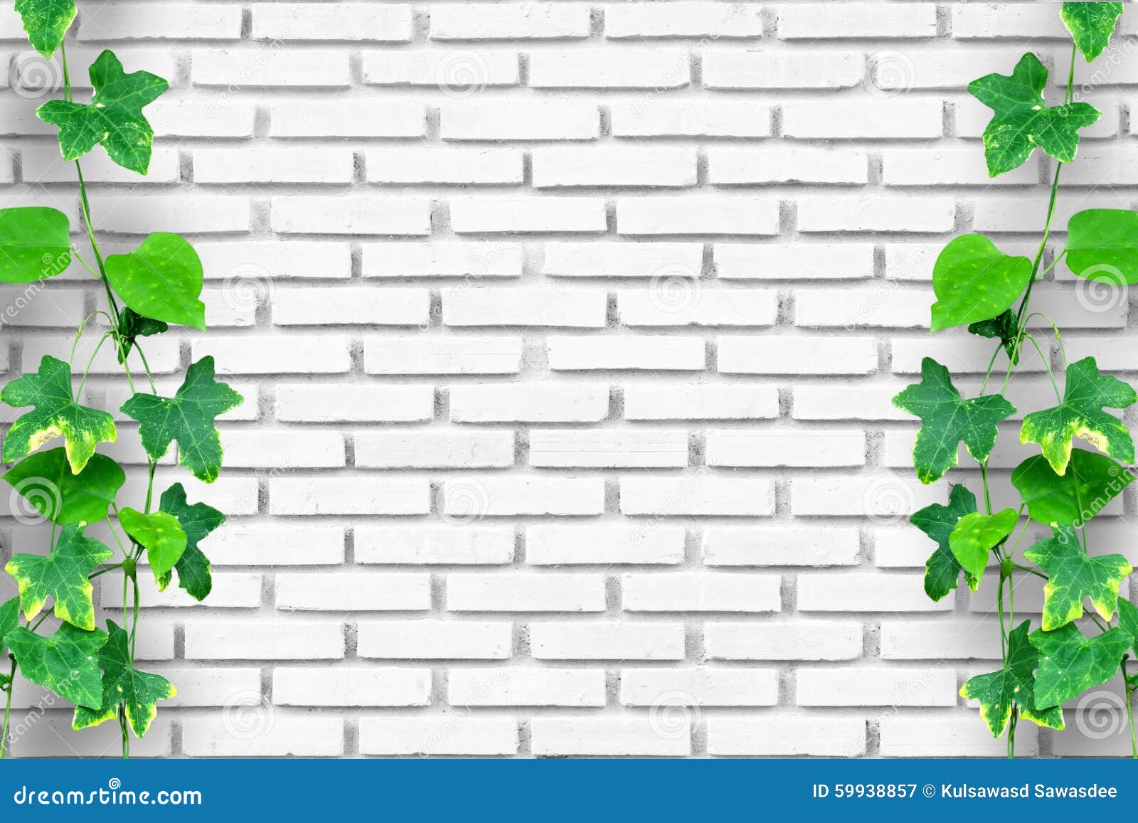 9 White Brick Wall Background Creeping Plant Photos Free Royalty Free Stock Photos From Dreamstime