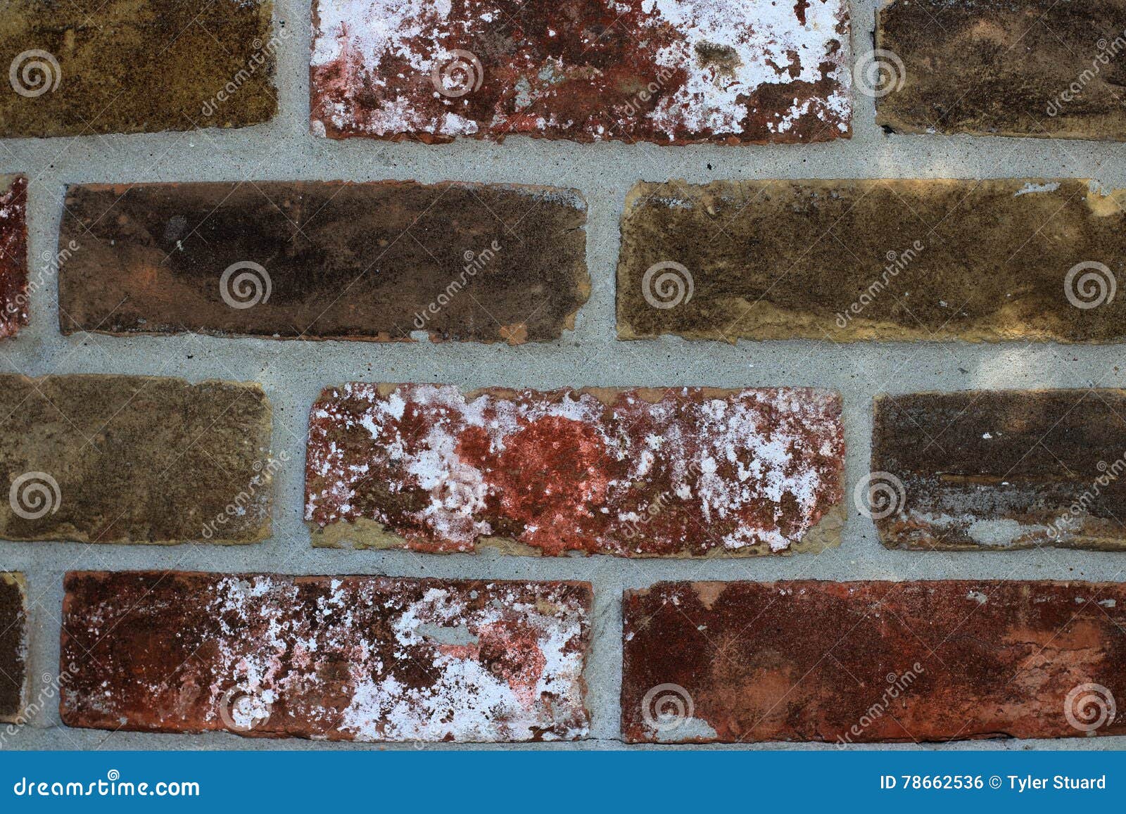 Brick Wall closeup stock photo. Image of spots, grout 78662536