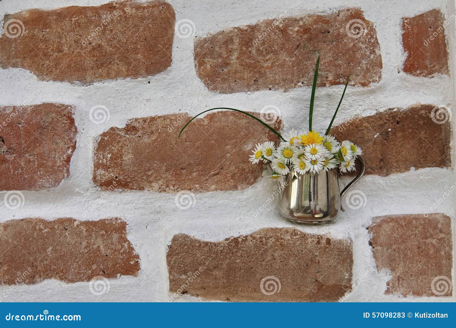 Brick Wall and Daisy Flowers Stock Image Image of life, construction