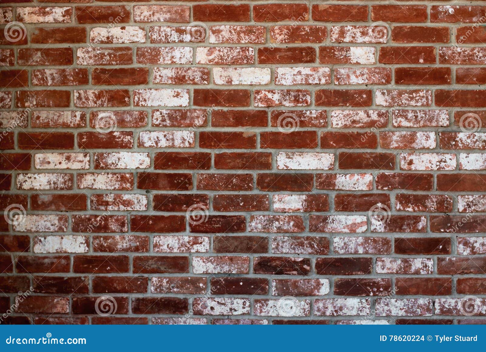Brick Wall stock photo. Image of high, masonry, stucco 78620224