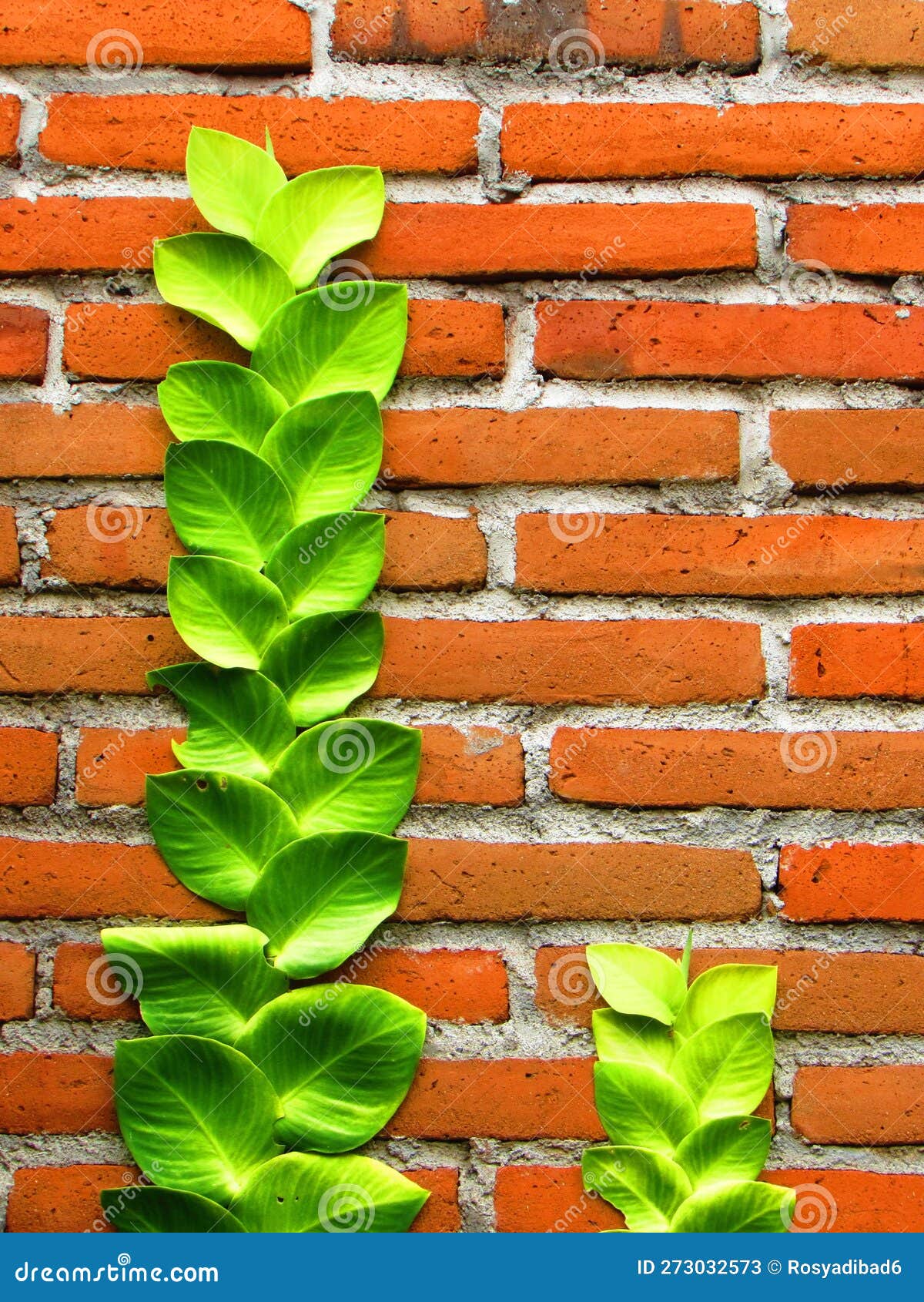 A Brick Wall with Leaves on it and a Brick Wall Stock Image - Image of ...