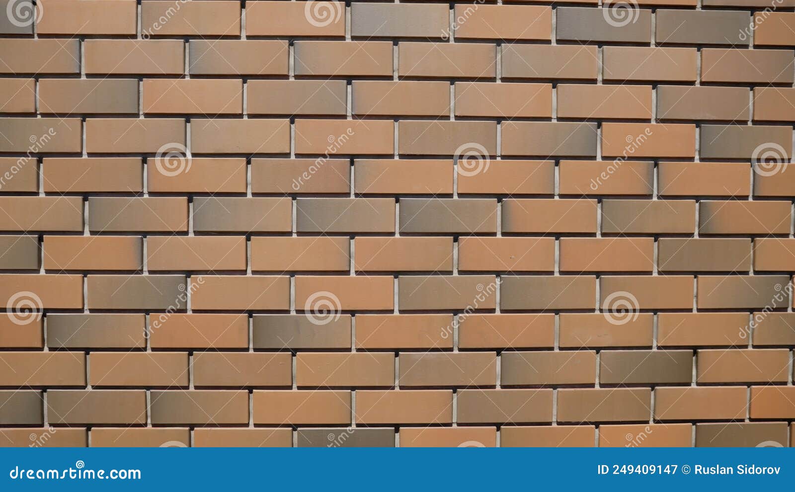 Brick Wall Made of Facing Bricks, Closeup. Background for Text. the