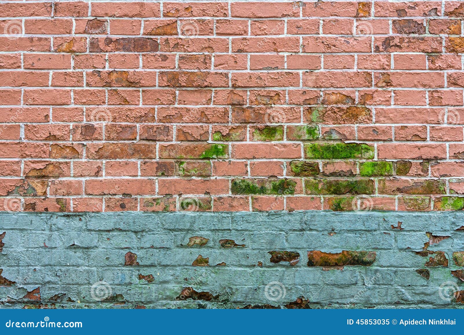 A Brick Wall with Peeling Paint Can Be an Unsightly Mess in a Ho Stock