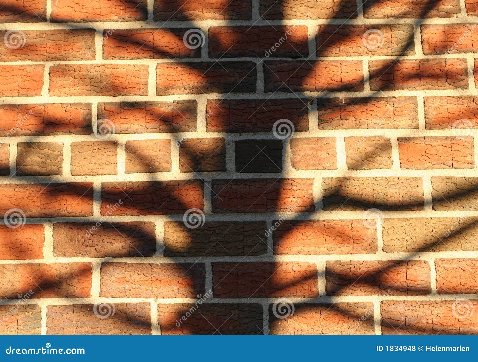 Brick Wall Tree Silhouette Texture Background RoyaltyFree Stock Image 1834948