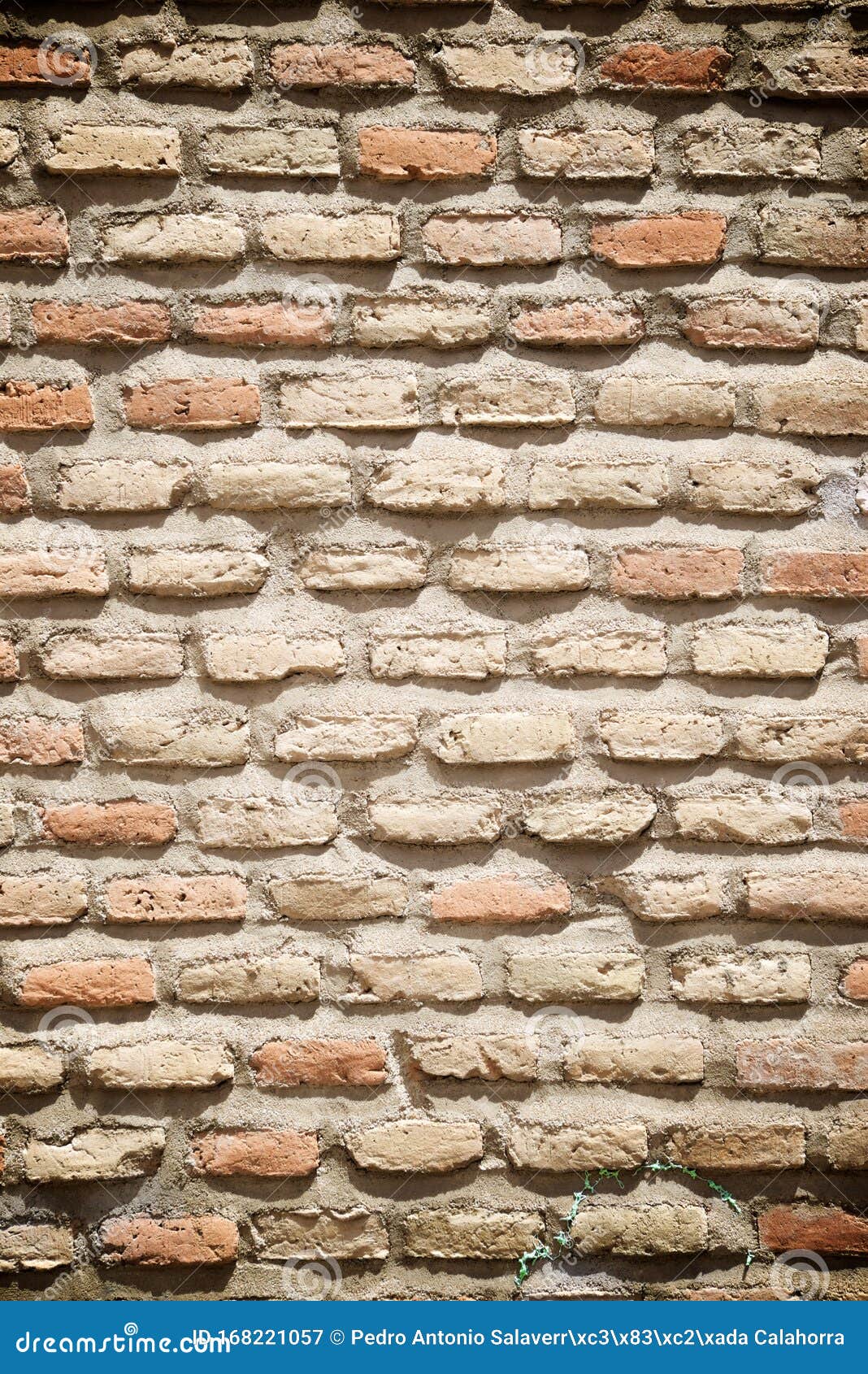 Brick wall view stock image. Image of regular, stones 168221057