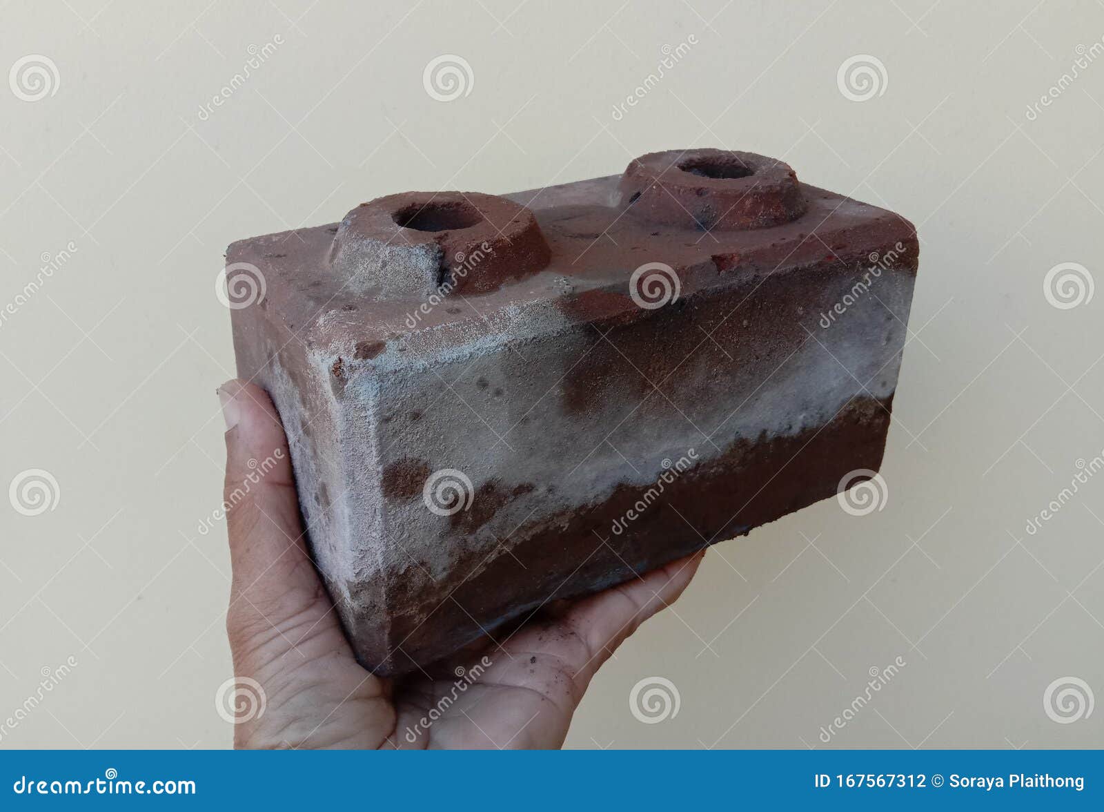 Brick Worm for Construction and Building on Cement Concrete Wall