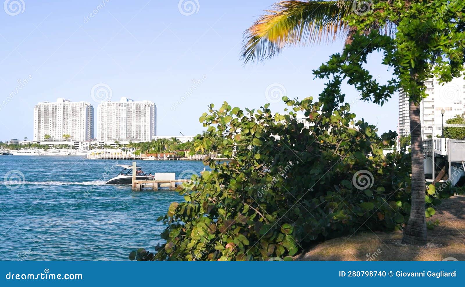 Brickell Key Bridge in Downtown Miami Stock Footage Video of lights
