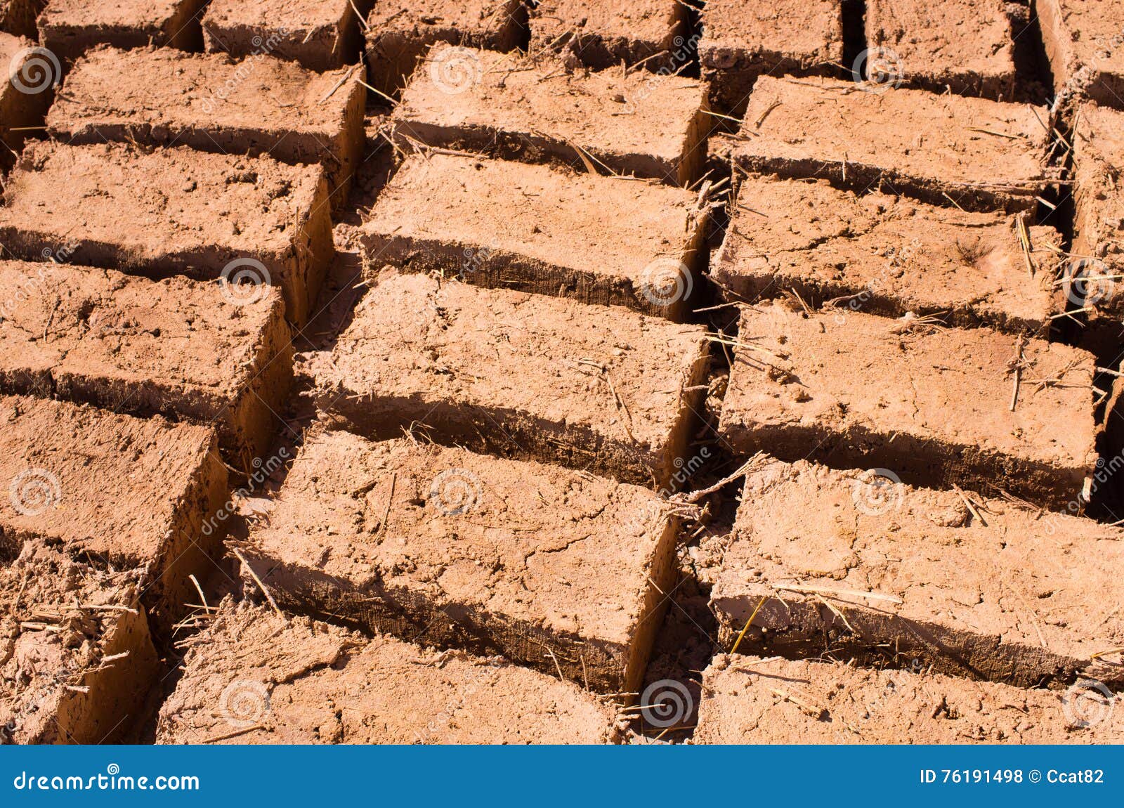 bricks dried on the sun