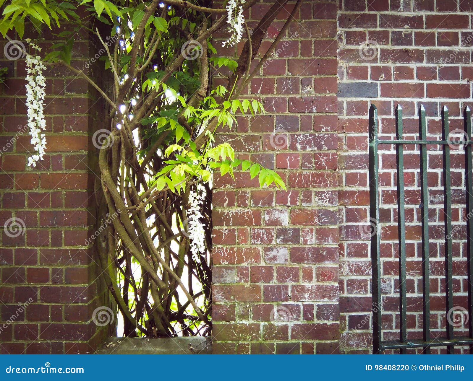 Bricks and plants stock photo. Image of abandoned, bricks 98408220