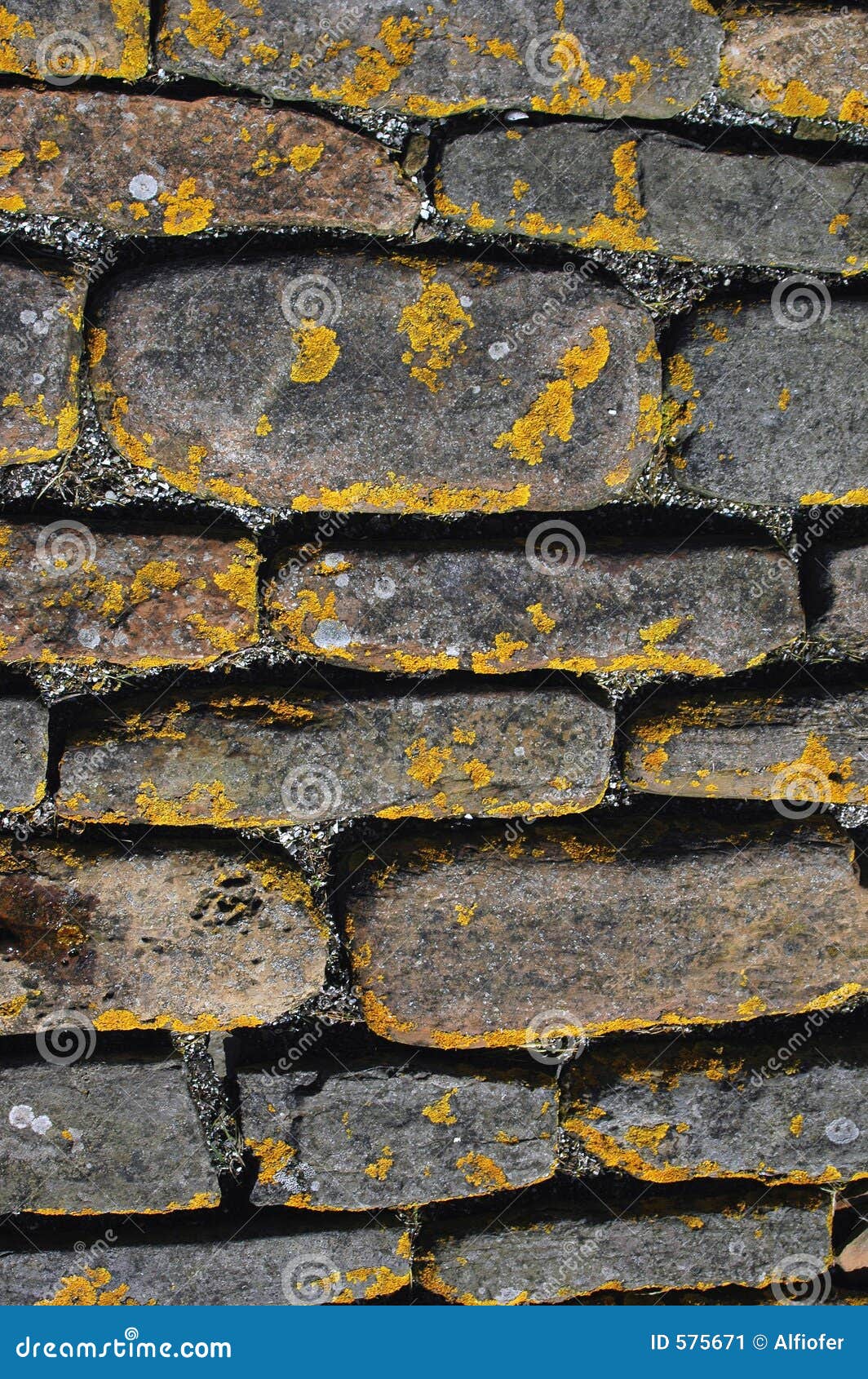 bricks at skara brae, orkney's