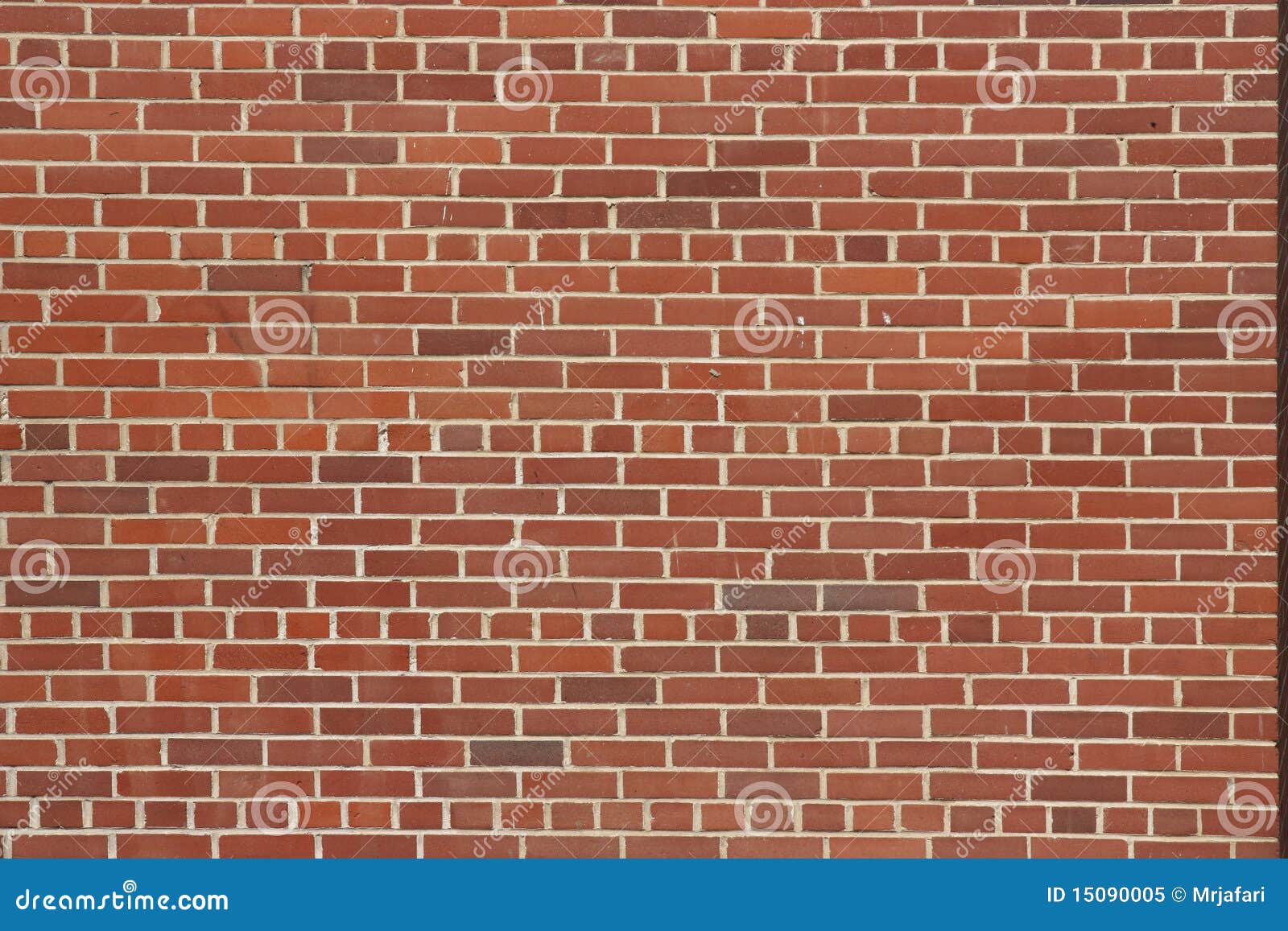 bricks in wall