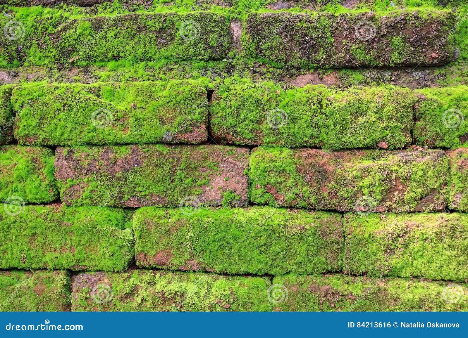 Brickwall do polonnaruwa. A textura da parede de tijolo capturou na cidade antiga de Polonnaruwa em Sri Lanka A idade do este tijolos é milênio