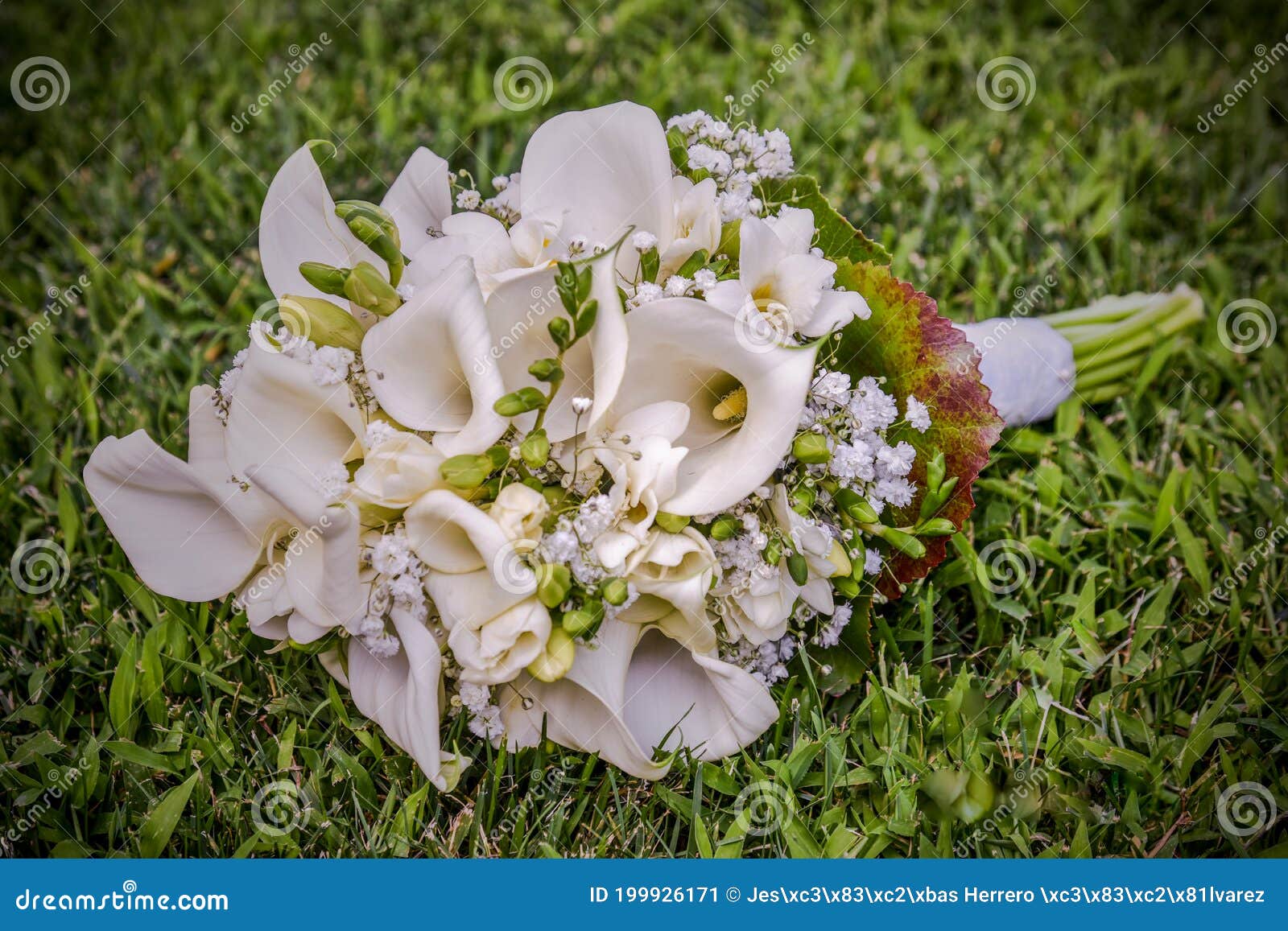 Bridal Bouquet for Wedding Day Stock Image Image of lilac, bridal