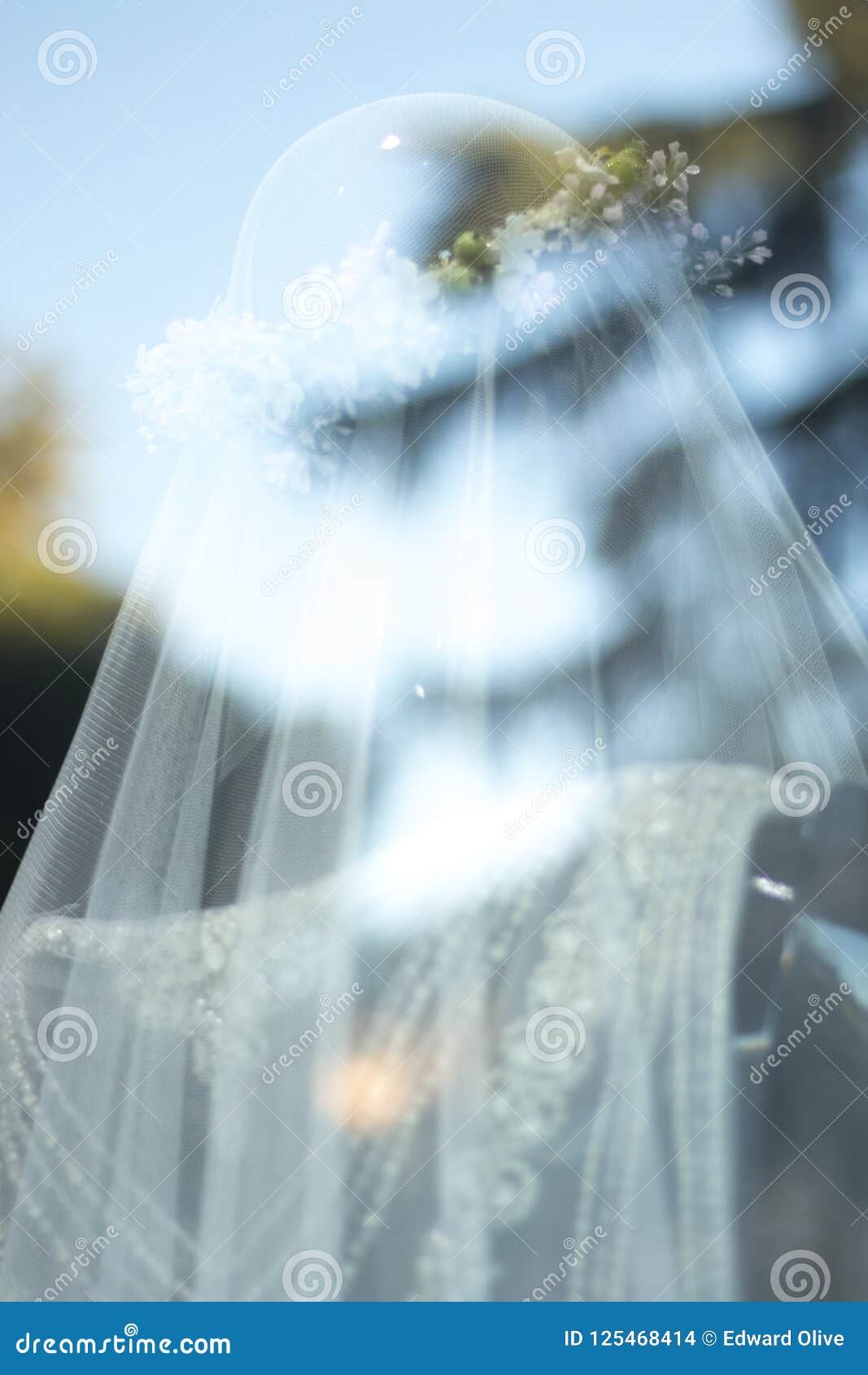 Bridal Boutique Bride Dress Stock Photo ...