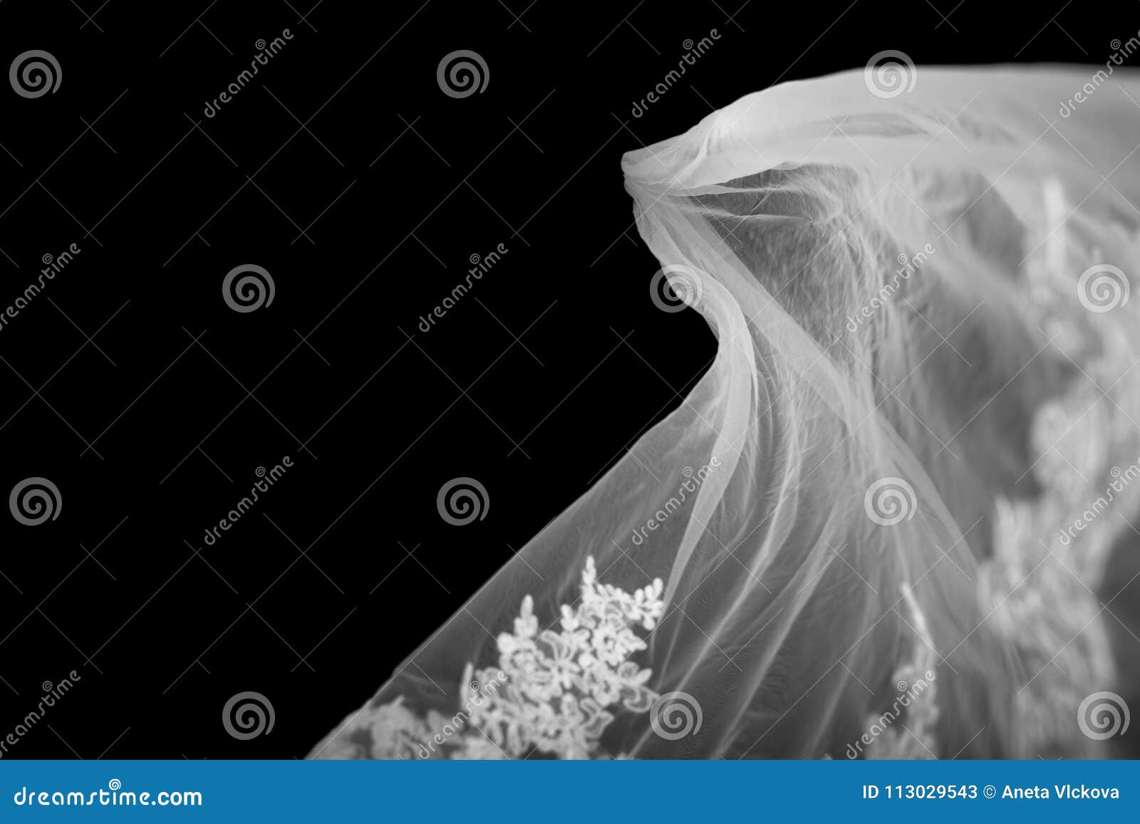 Bridal Veil on Black Background Stock Image - Image of background ...