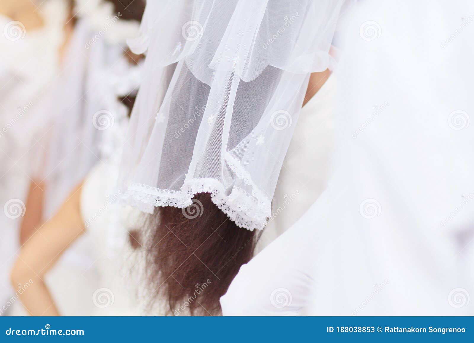 Bridal Veil On Bride Hair In Wedding With Beautiful Hair Style Stock Image Image Of Bridal Happy