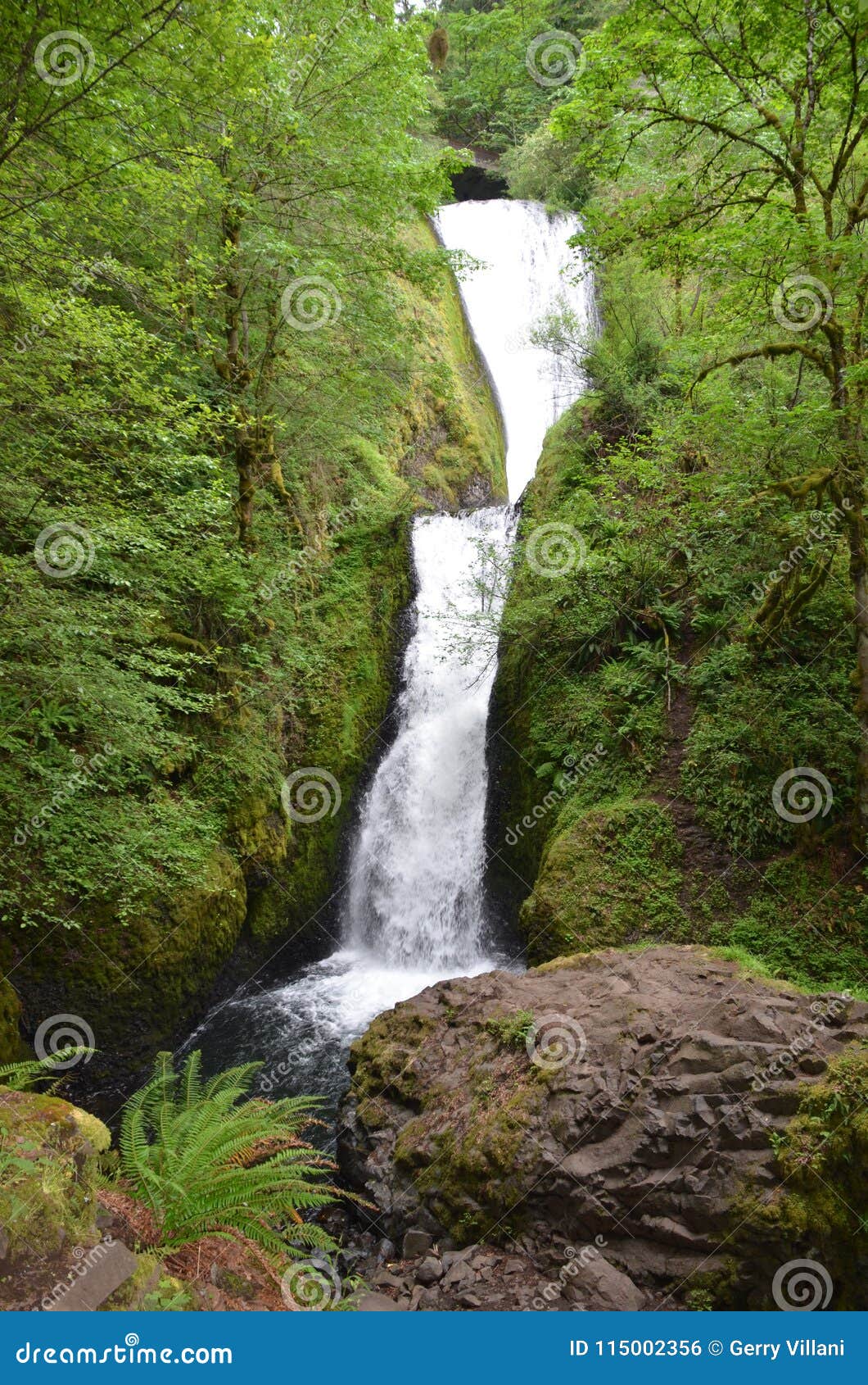 Bridal Veil Falls Oregon Stock Photo Image Of Trees Bridal Veil Falls Oregon Stock Photo Image Of Trees