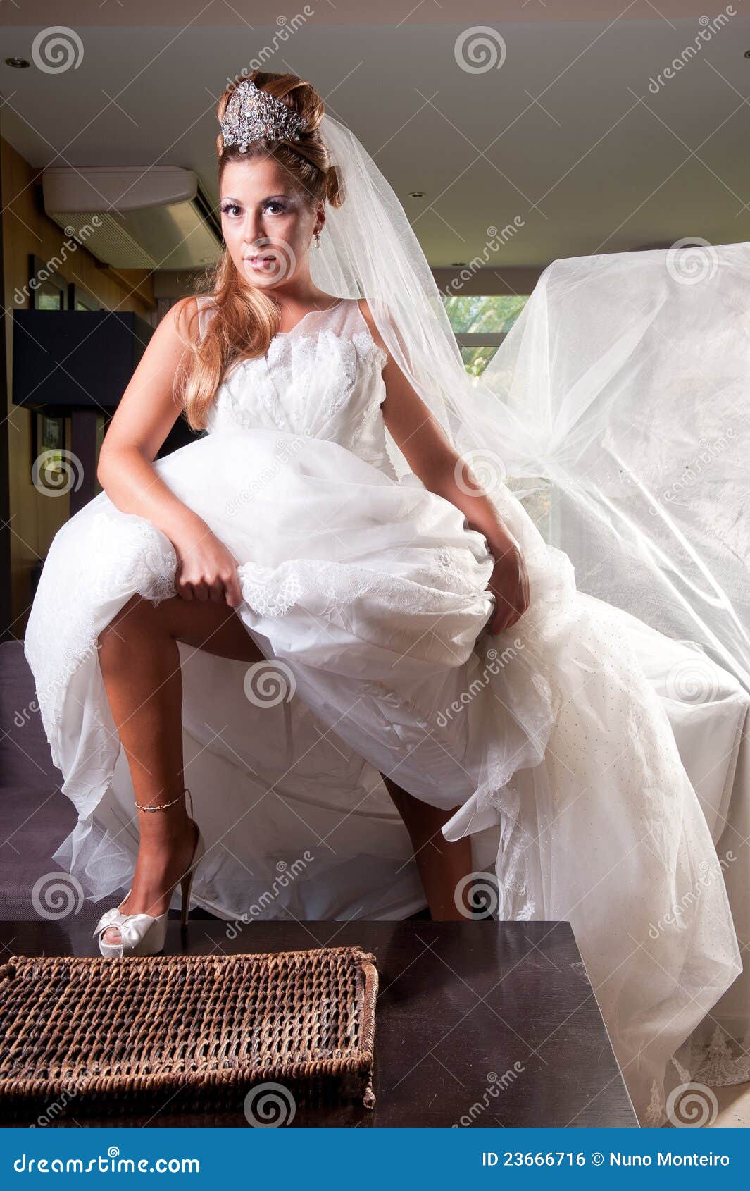 Bride With Big Veil Royalty Free Stock Image - Image: 23666716