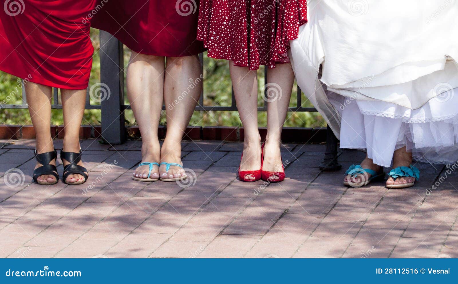 Bride and Bridesmaids Shoes Stock Photo Image of feet, summer 28112516