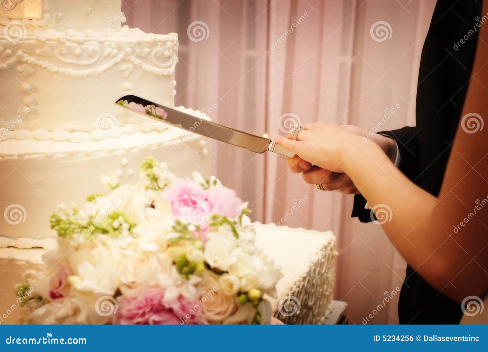 Bride And Groom Cutting  The Wedding  Cake  Royalty Free 