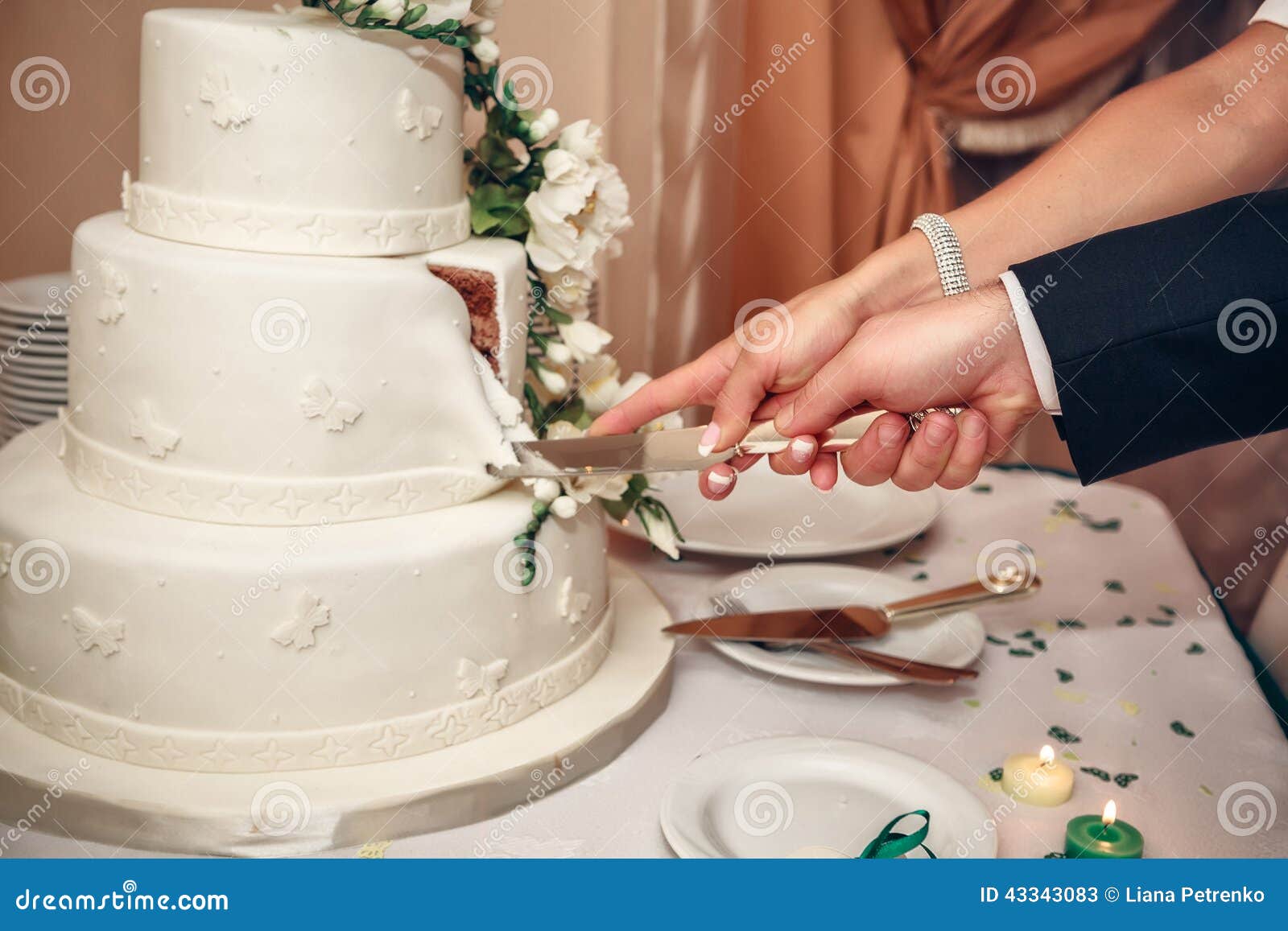 Cake Cutting Bride and Groom