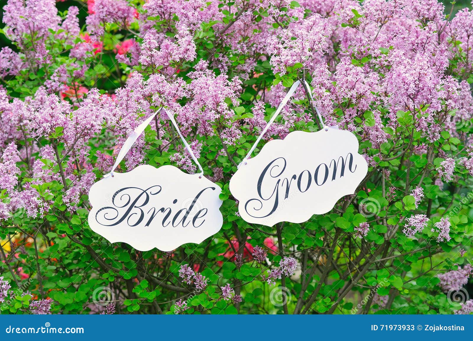 Bride and Groom Decoration Boards Stock Image Image of celebration