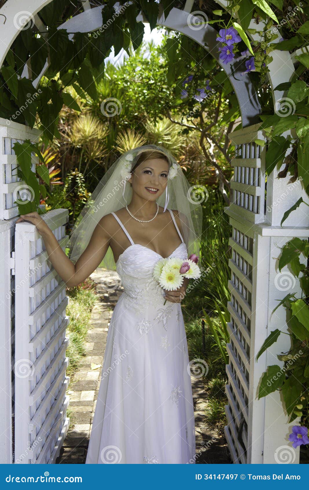 Bride on her wedding day stock image. Image of garden 34147497