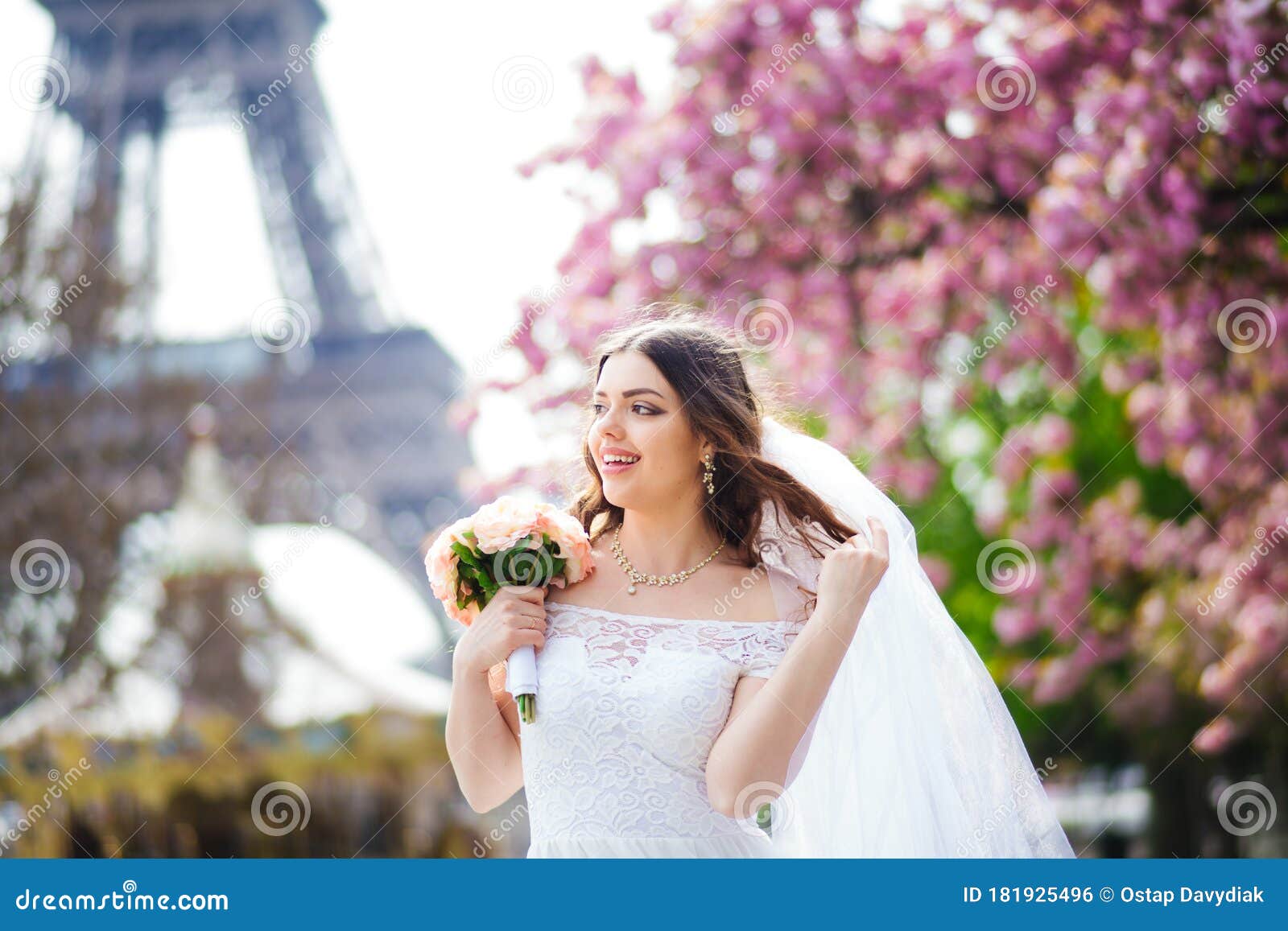 Bride in a Luxurious Wedding Dress in Paris. Stock Photo Image of