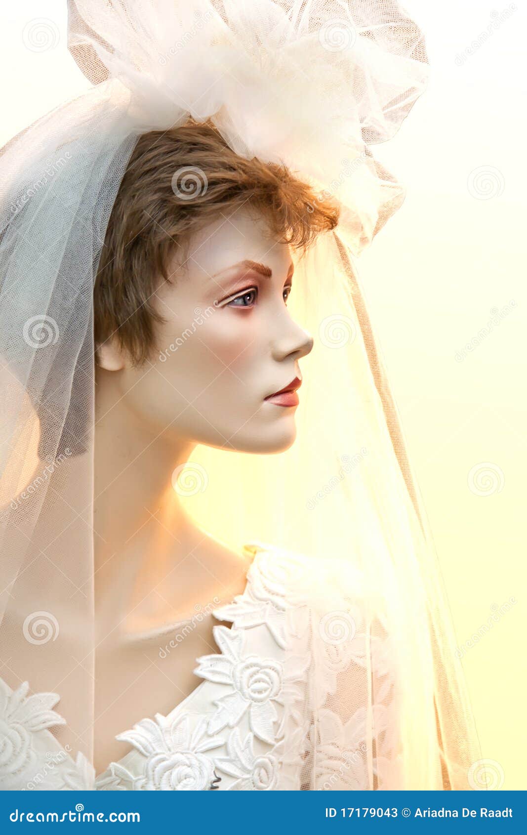Bride mannequin stock image. Image of bridal, luster 17179043