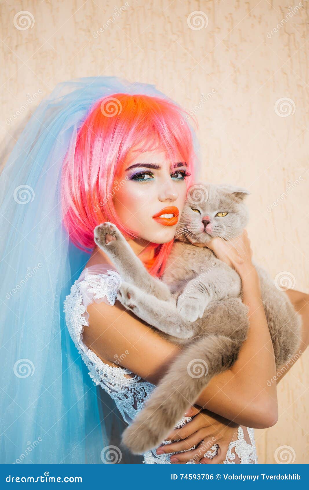 Sexi Cat Stock Photos - Free & Royalty-Free Stock Photos from Dreamstime