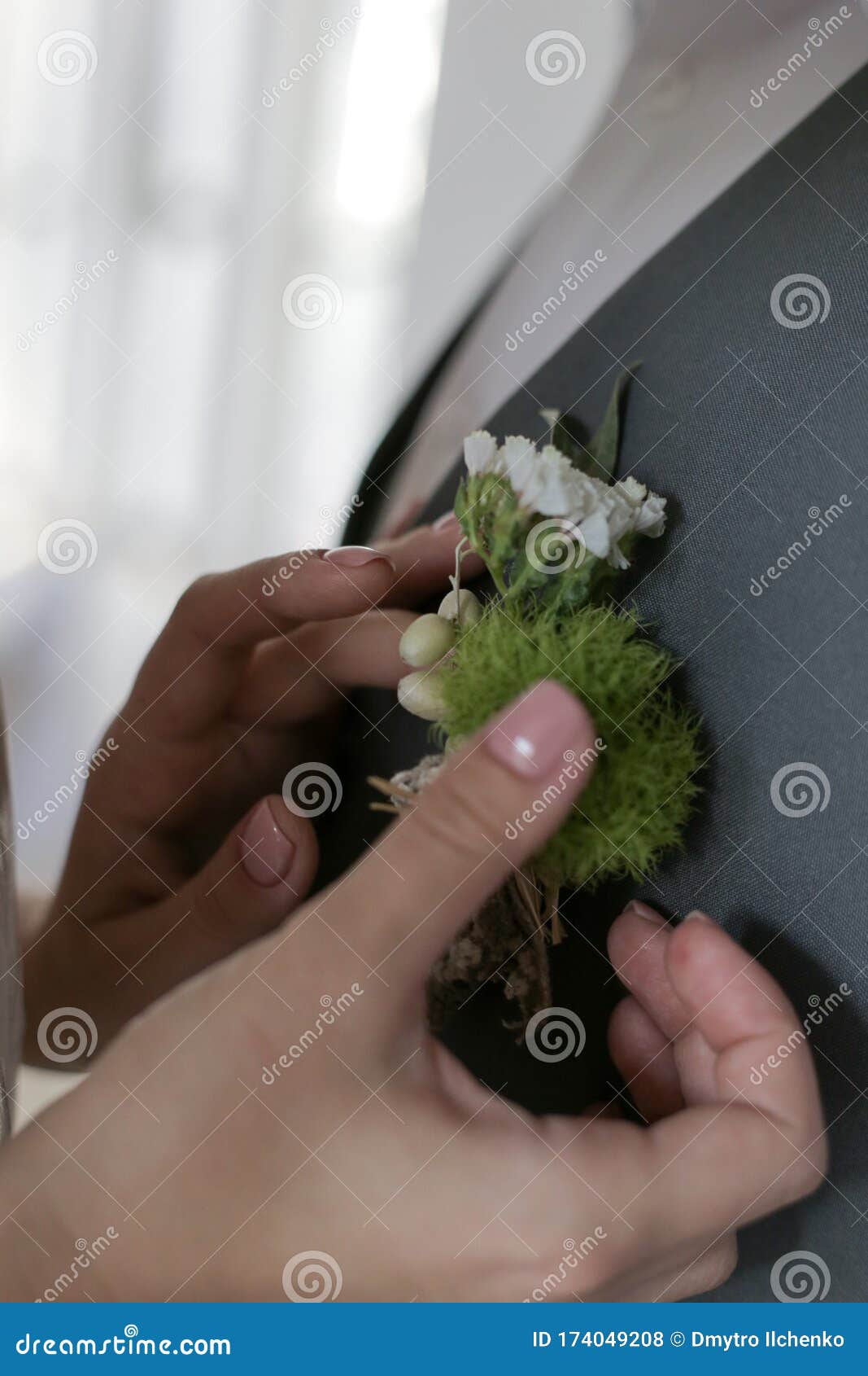 Bride Pins a Boutonniere on the Groom`s Jacket Stock Photo Image of