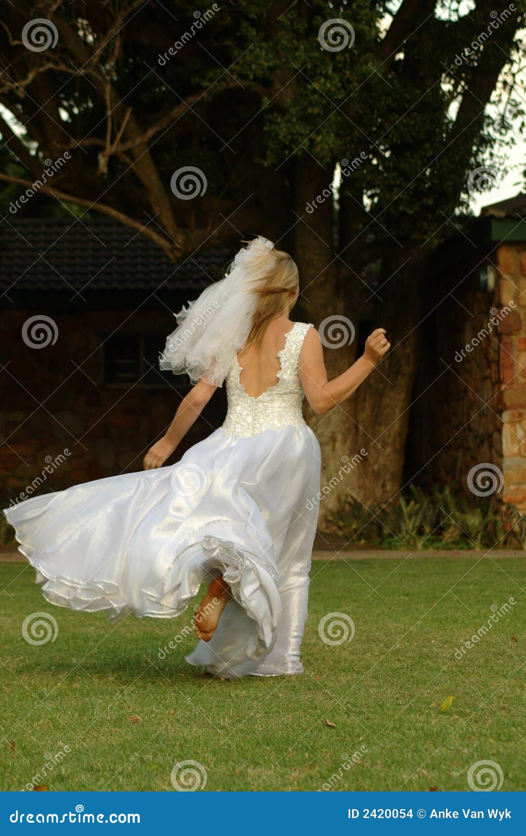 Bride Running Away Stock Images Image 2420054 Bride Running Away Stock Images Image 2420054