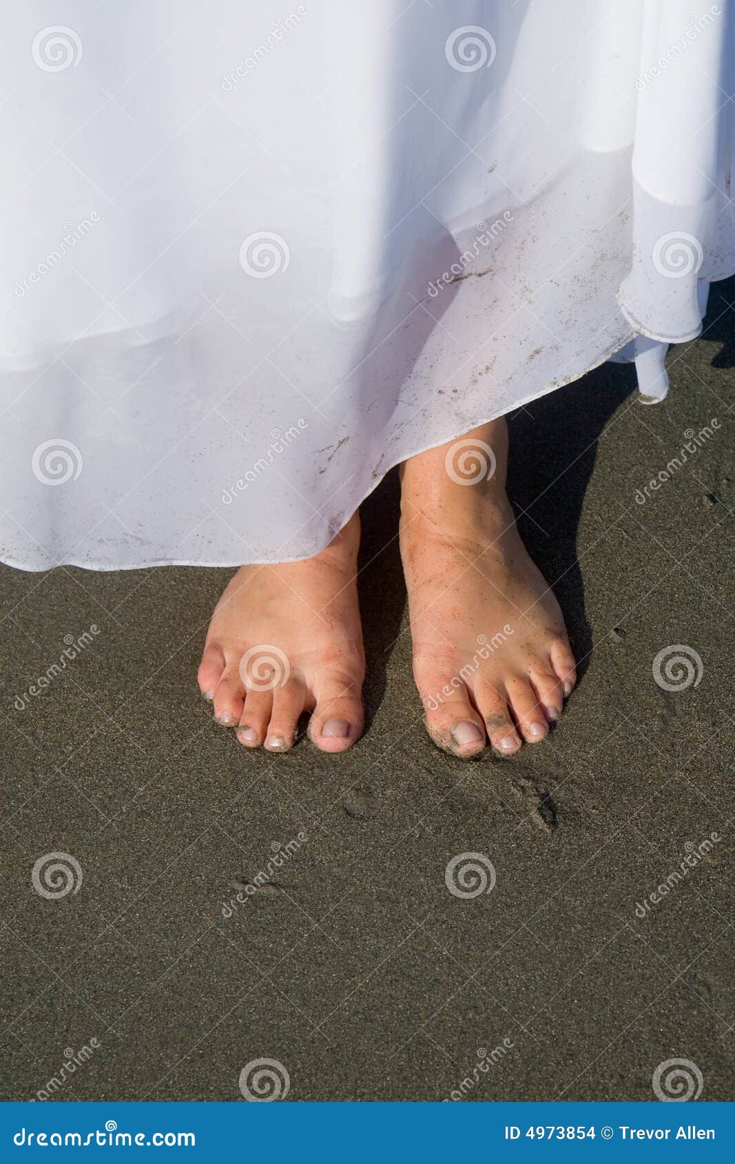 Bride's Feet Stock Images - Image: 4973854