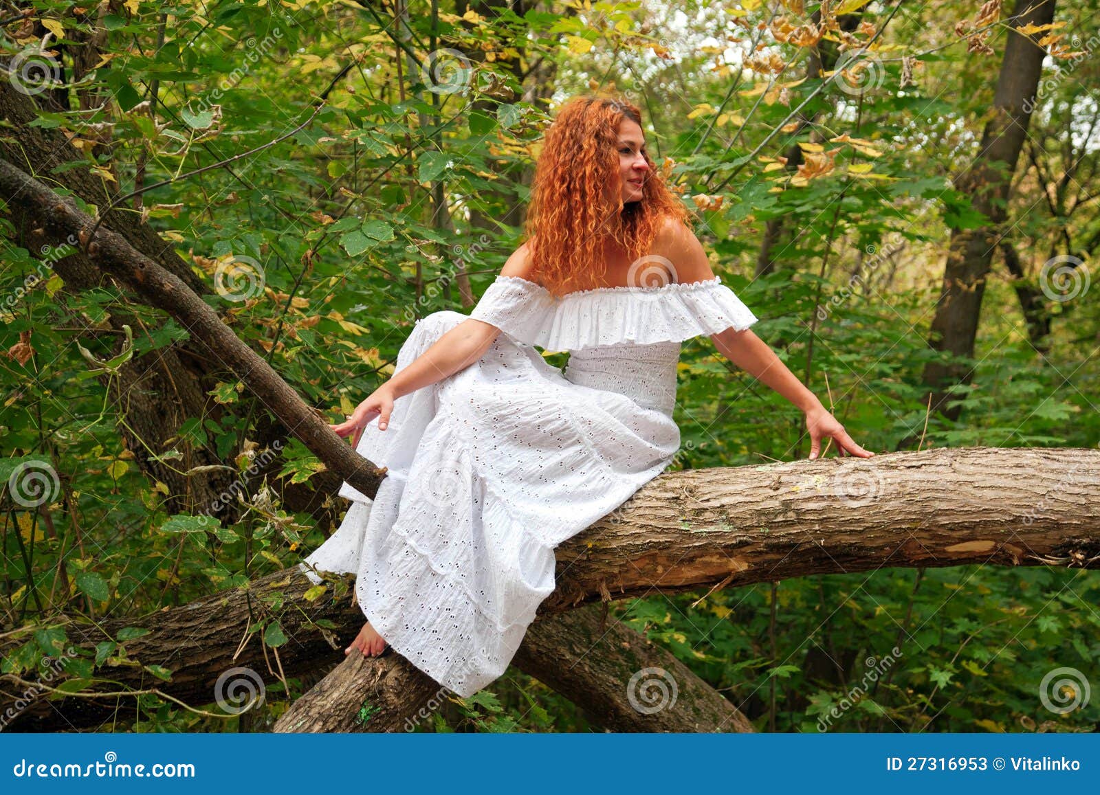 https://thumbs.dreamstime.com/z/bride-sitting-tree-branch-autumn-forest-27316953.jpg