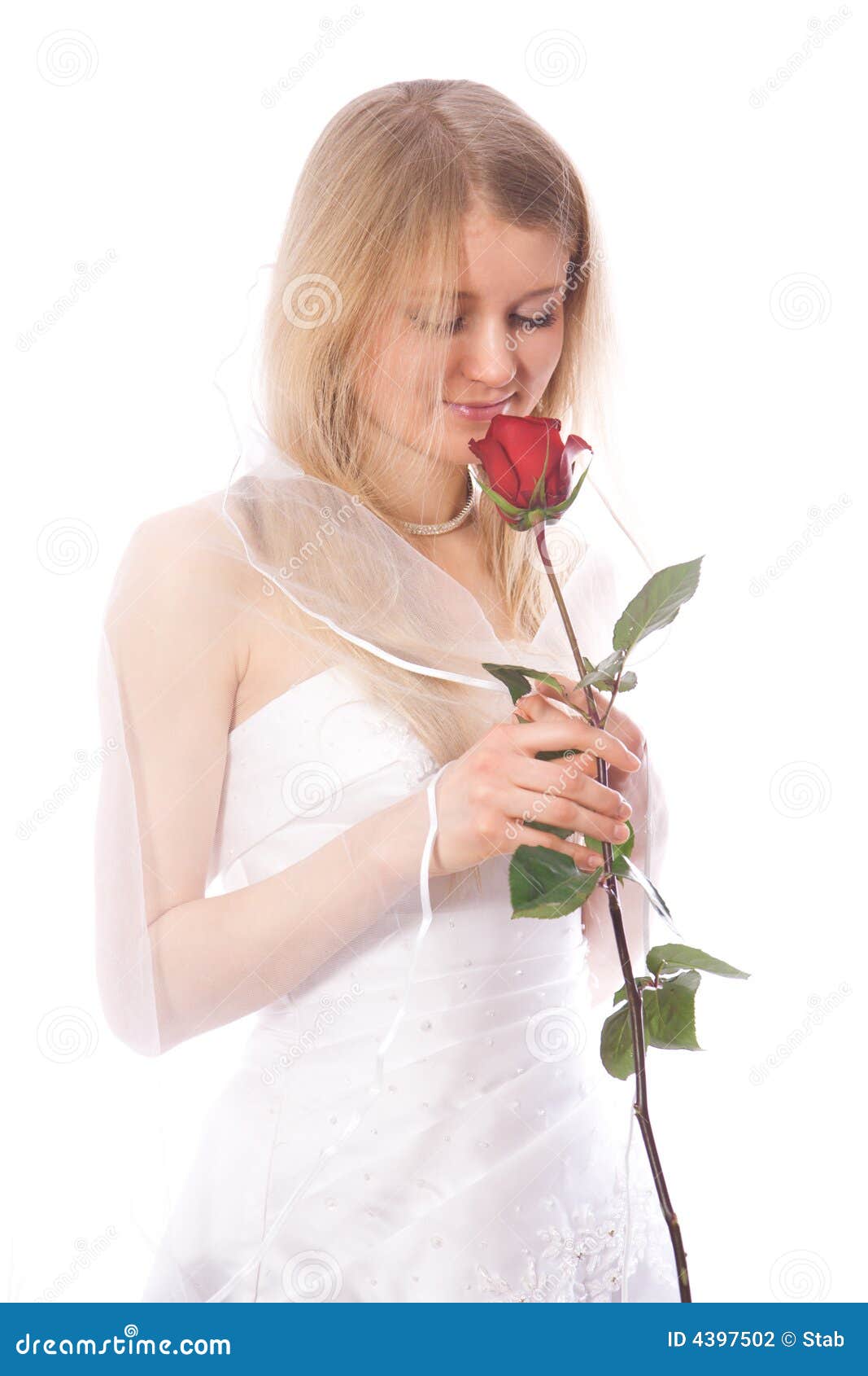 Bride smell red rose stock photo. Image of positivity 4397502
