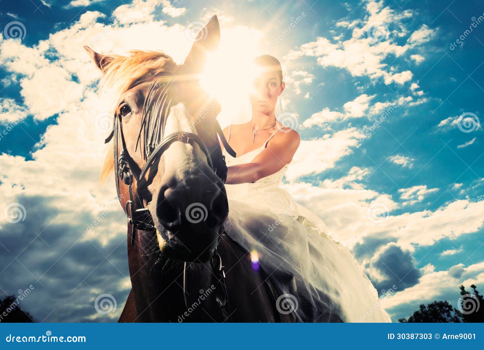 bride in wedding dress riding a horse, backlit