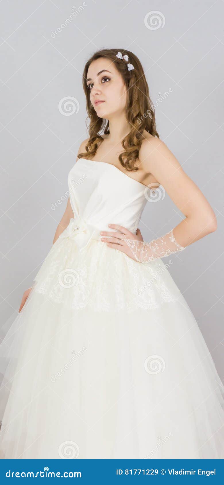 Beautiful Bride on White Background. Dress Stock Image - Image of hair ...