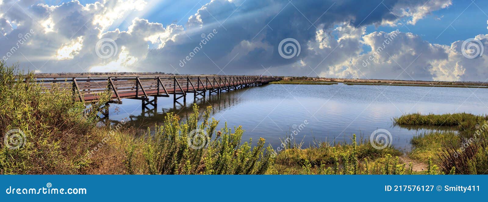 bridge along the peaceful and tranquil marsh of bolsa chica wetlands
