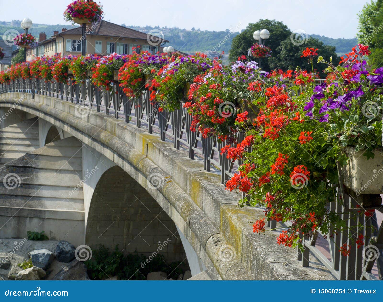 6 4/9 x France Anse Stock , Flowers Decorated With In Bridge Photo 6 4/9 x France Anse Stock , Flowers Decorated With In Bridge Photo