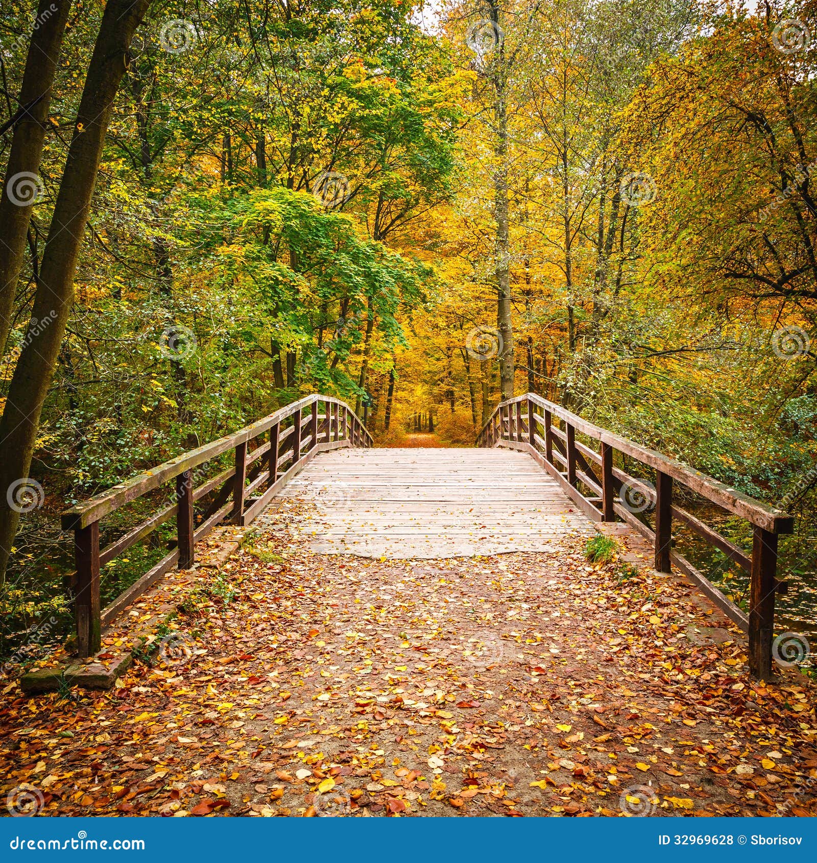 Bridge In Autumn Forest Stock Photo Image Of Natural 32969628