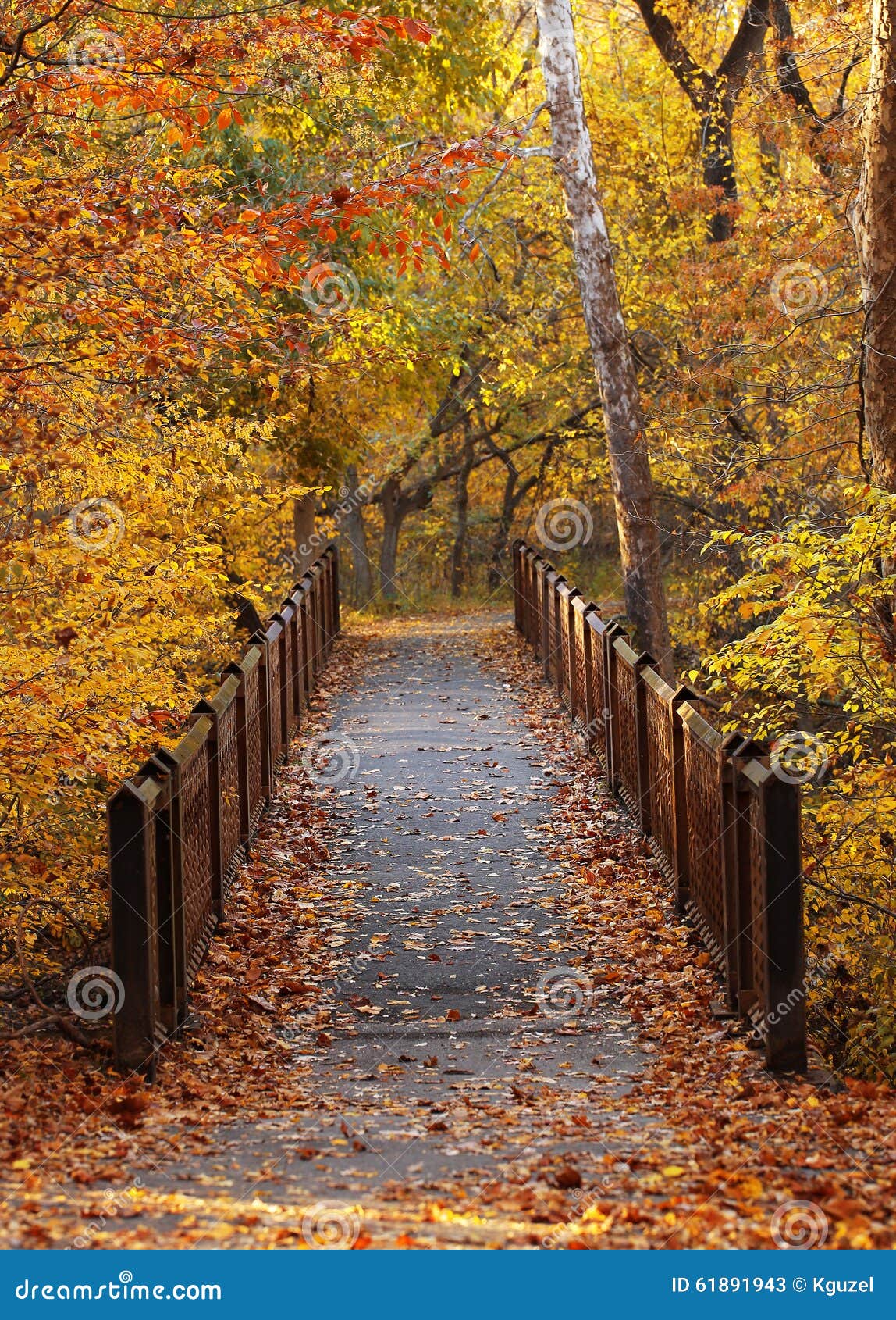 Bridge in Autumn Park stock image. Image of outdoor, october - 61891943